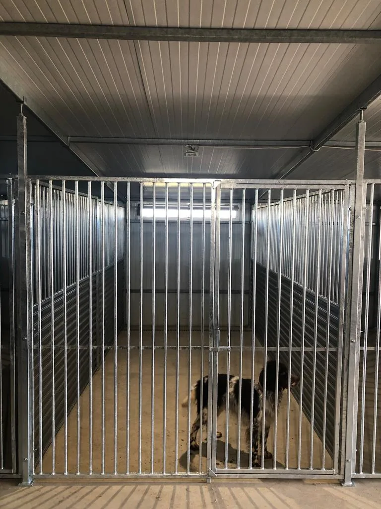 Centro Canino ValdeVid - Castile and Leon pet otel görseli 3