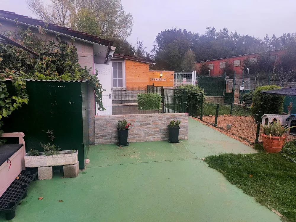 Hotel Canino Ferral - Castile and Leon pet otel