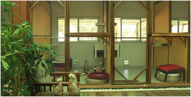 Hotel Felino Gattópolis - Castile and Leon pet otel görseli 3