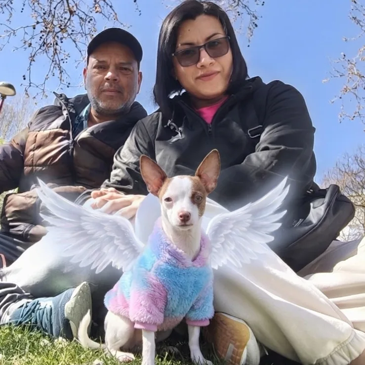 Residencia Canina CísterCan | Adiestramiento canino - Castile and Leon pet otel görseli 4