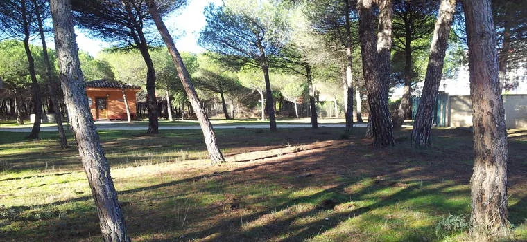 Residencia Canina Los Valles | Adiestramiento Canino - Castile and Leon pet otel