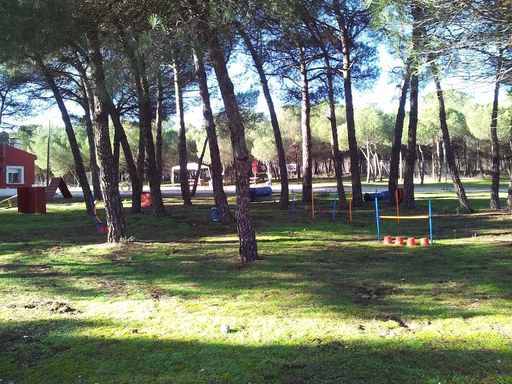 Residencia Canina Los Valles | Adiestramiento Canino - Castile and Leon pet otel görseli 3