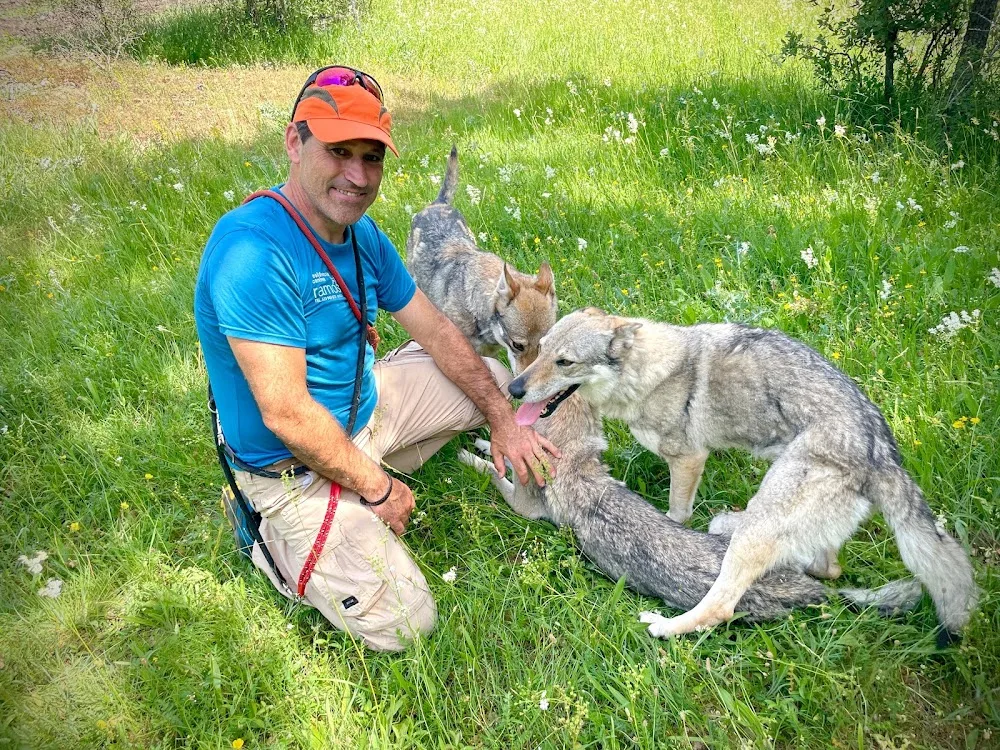 Residencia Canina Ramos - Castile and Leon pet otel görseli 3
