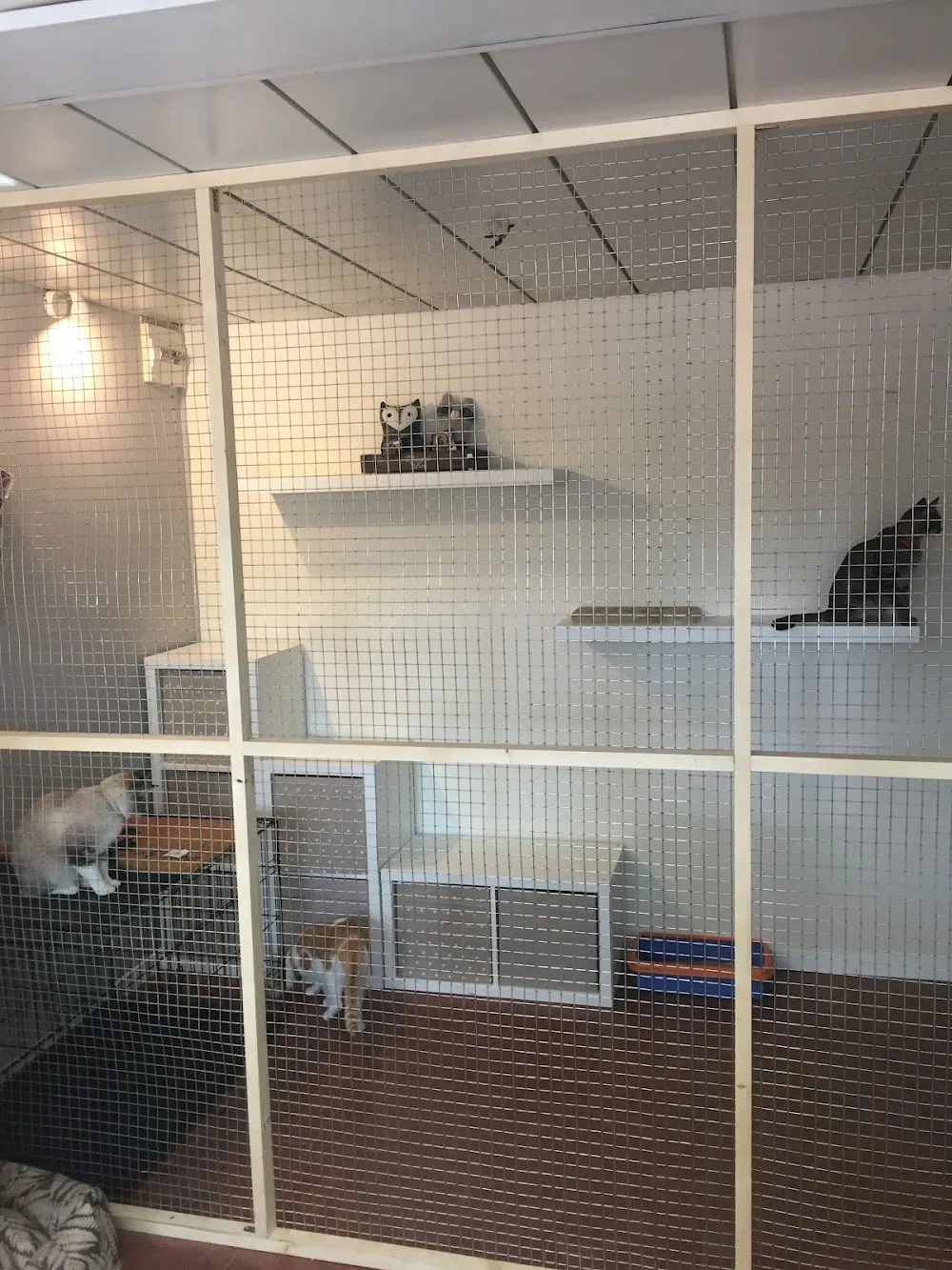 Residencia Canina Villanueva - Castile and Leon pet otel görseli 3