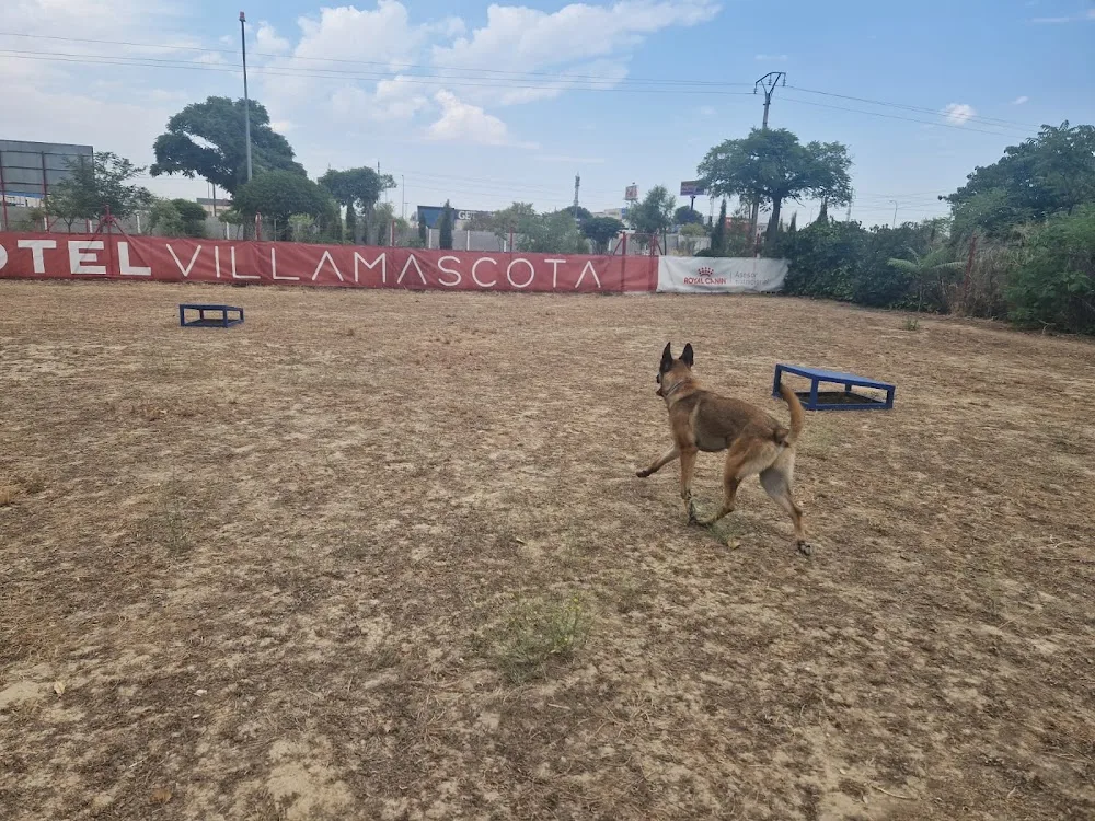 Villamascota Hotel - Castile and Leon pet otel görseli 2