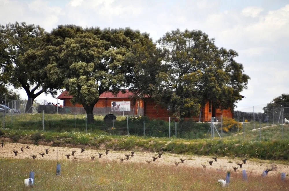 Campamento de Mascotas - Castilla-La Mancha pet otel