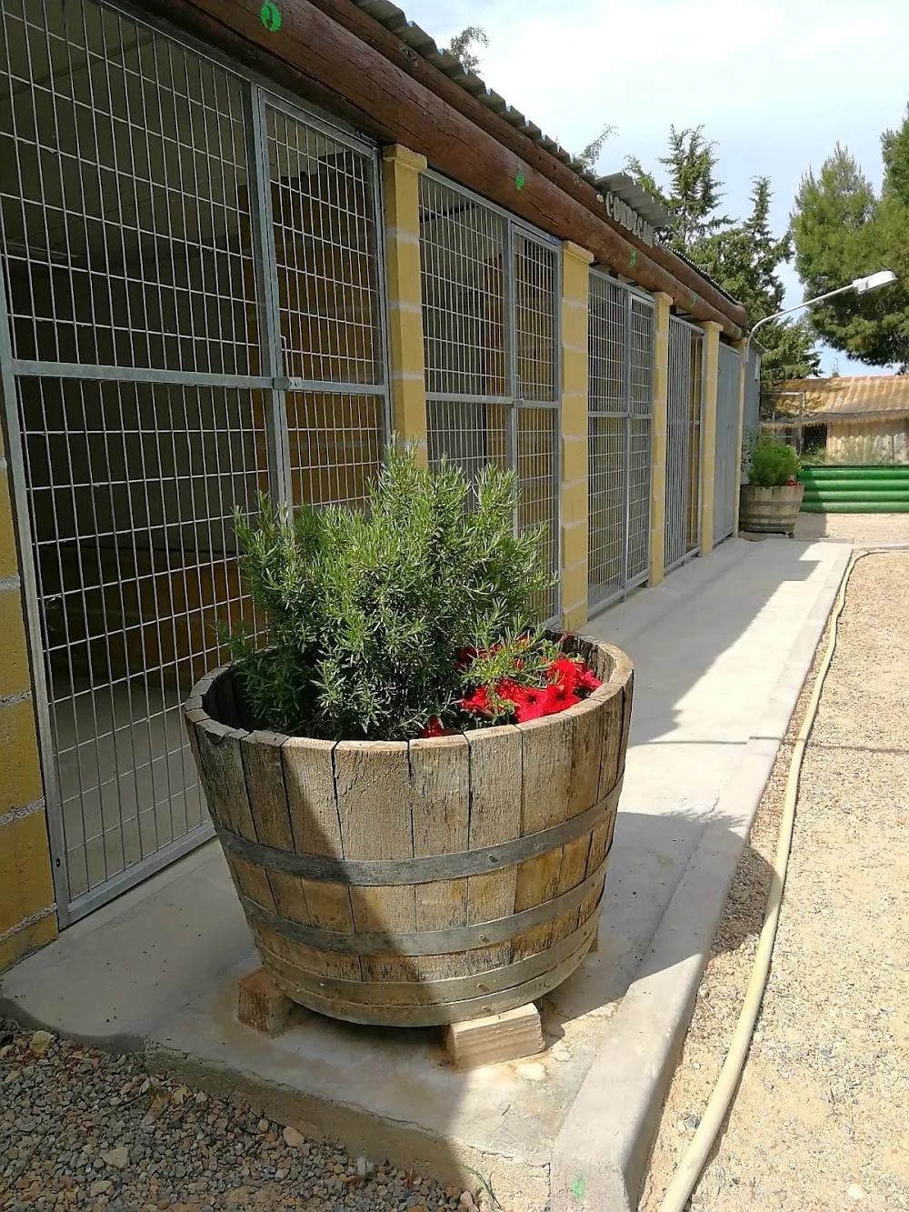 Conde Can Residencia Canina - Castilla-La Mancha pet otel görseli 3