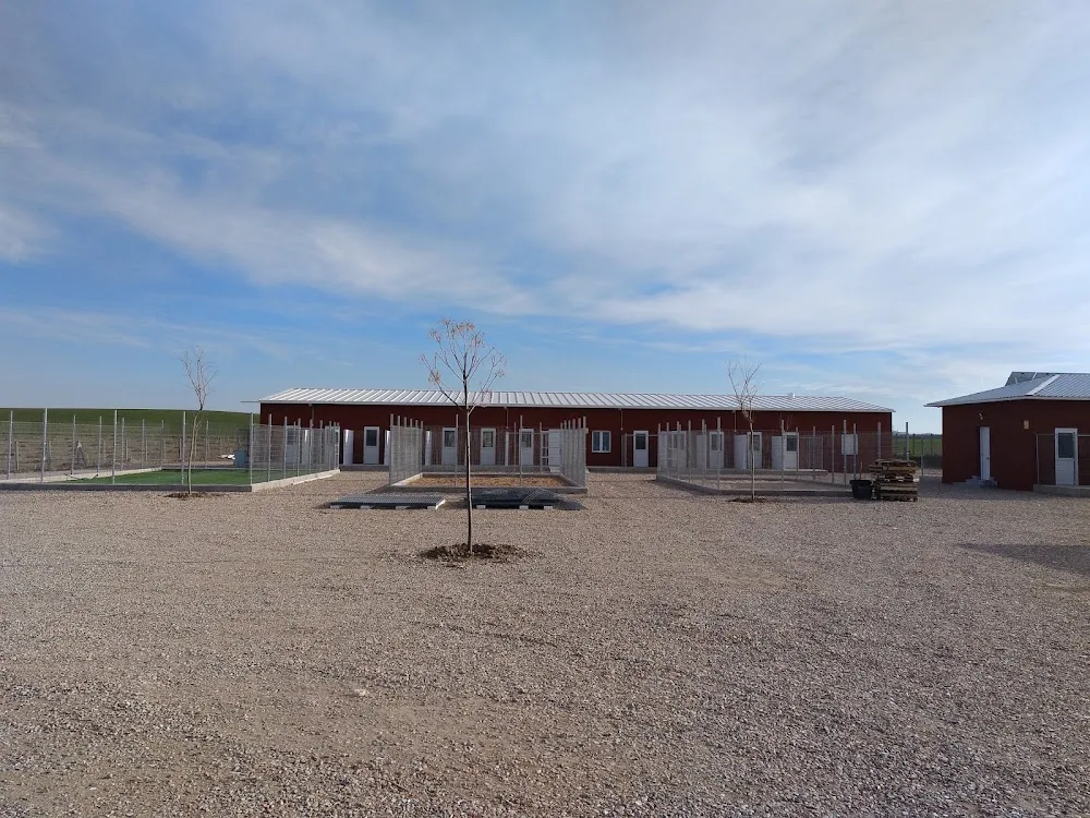 Holiday Can Mocejon hotel canino - Castilla-La Mancha pet otel