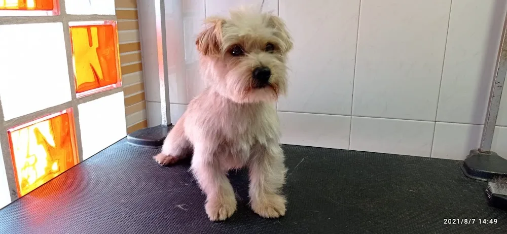 Residencia Canina del Camino - Castilla-La Mancha pet otel