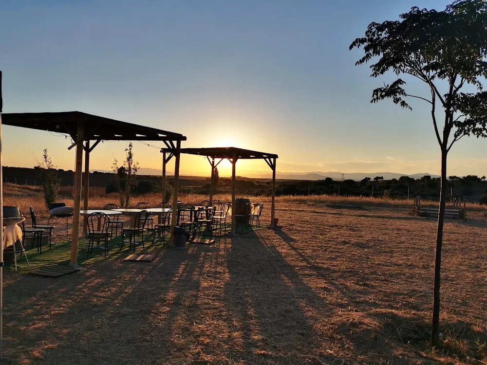 Residencia Canina y centro de ocio Alanos de Toletum - Castilla-La Mancha pet otel görseli 2