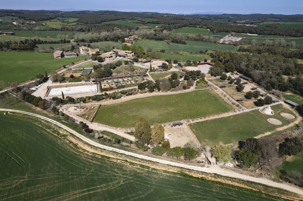 Alis Residència Guarderia Canina - Catalonia pet otel