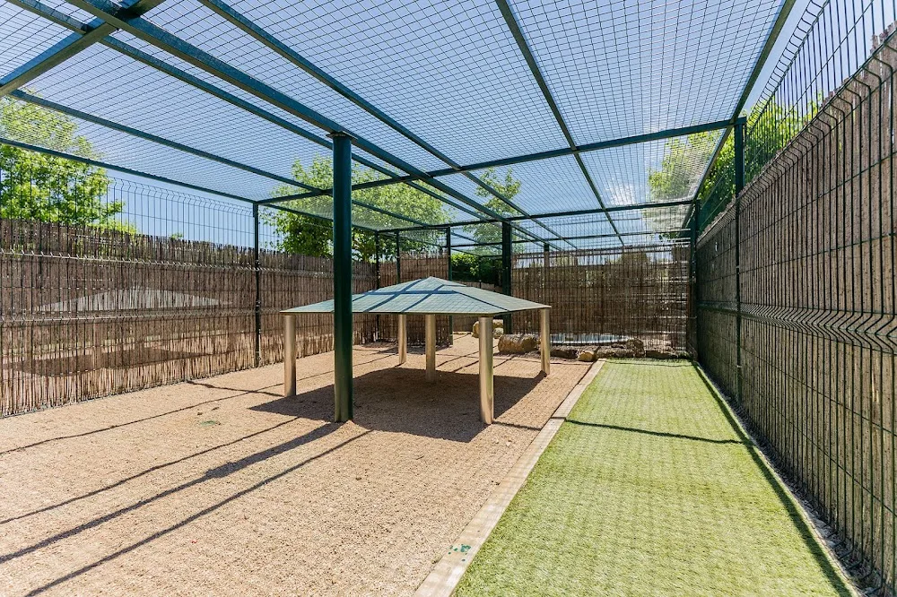 Alis Residència Guarderia Canina - Catalonia pet otel görseli 3
