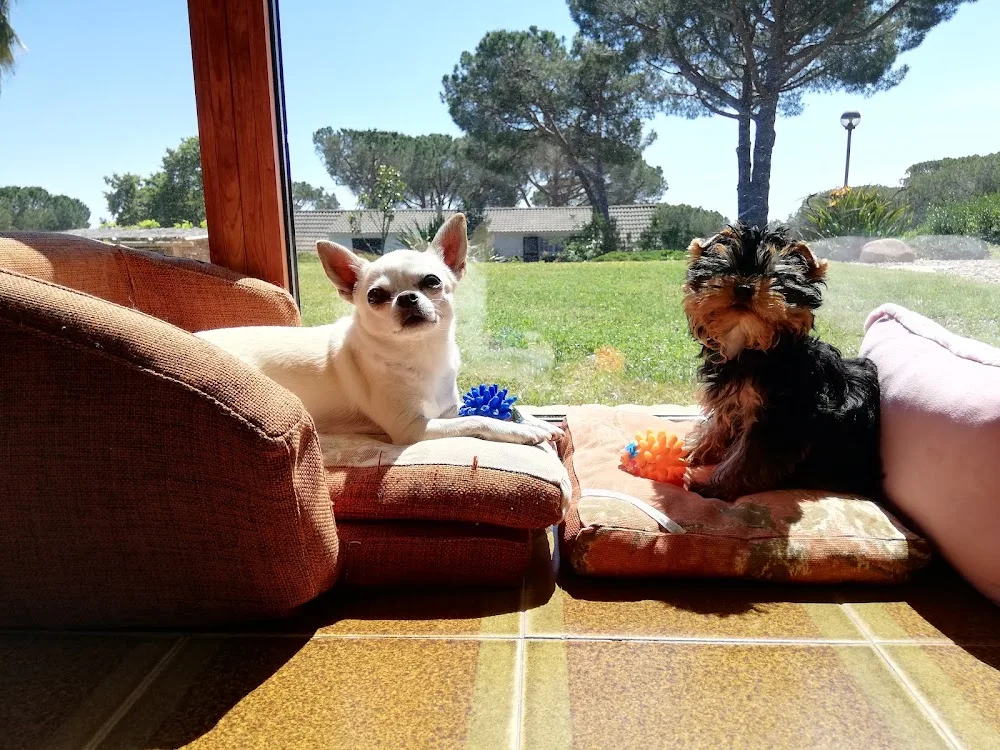 Can Kin Gos - Catalonia pet otel görseli 3