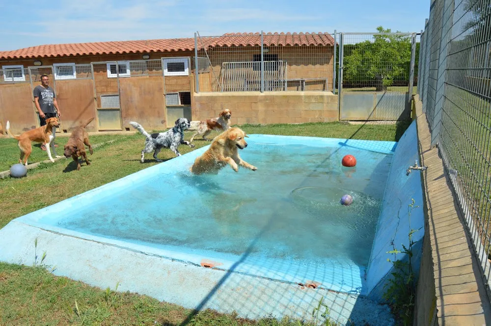 CENTRE CANI DE PALS - Catalonia pet otel görseli 2