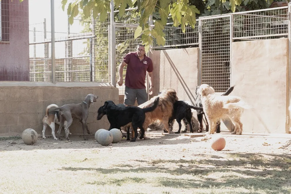 CENTRE CANI DE PALS - Catalonia pet otel görseli 3