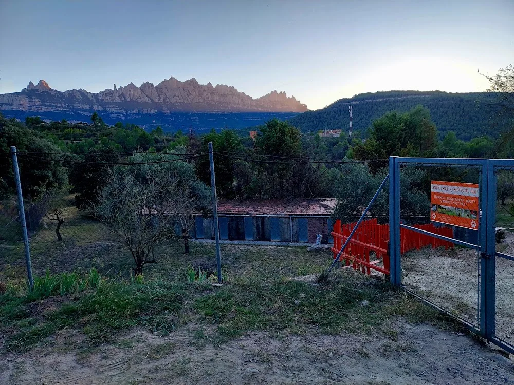 Centro Canino Les Casetes - Catalonia pet otel görseli 2