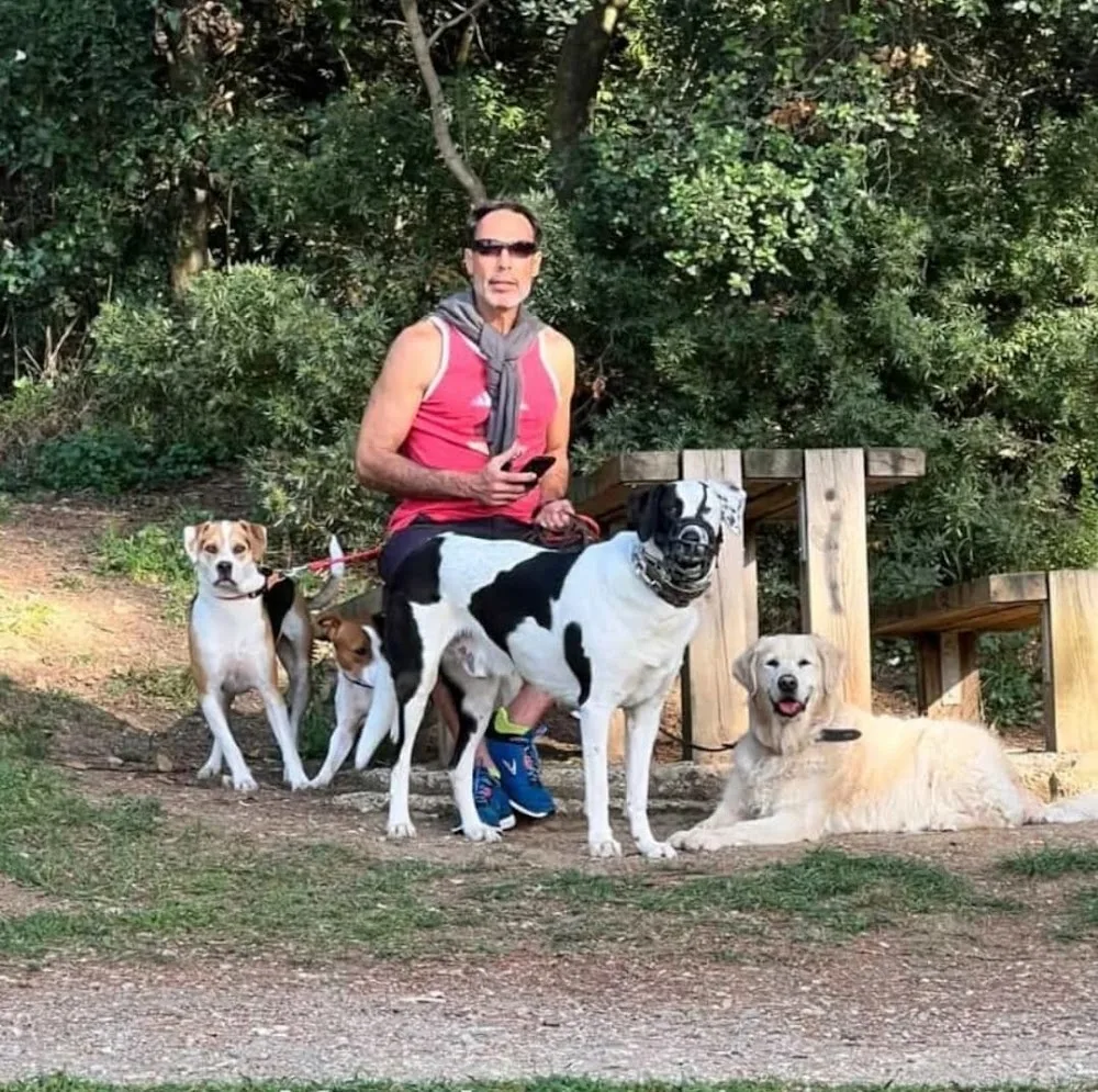 Cuidado de perros y dogs pension canina hostal - Catalonia pet otel görseli 3