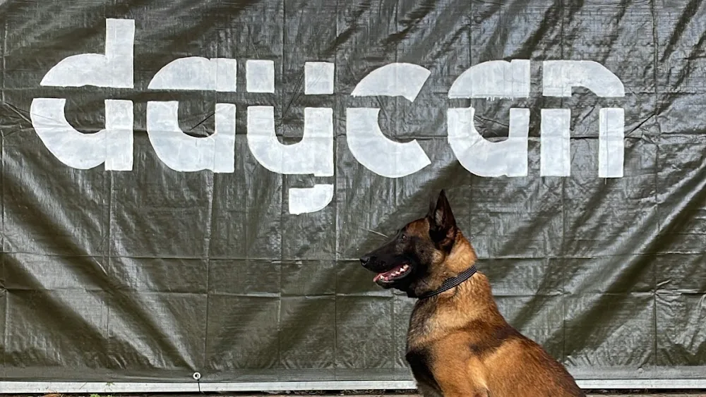 Daycan - Catalonia pet otel görseli 2