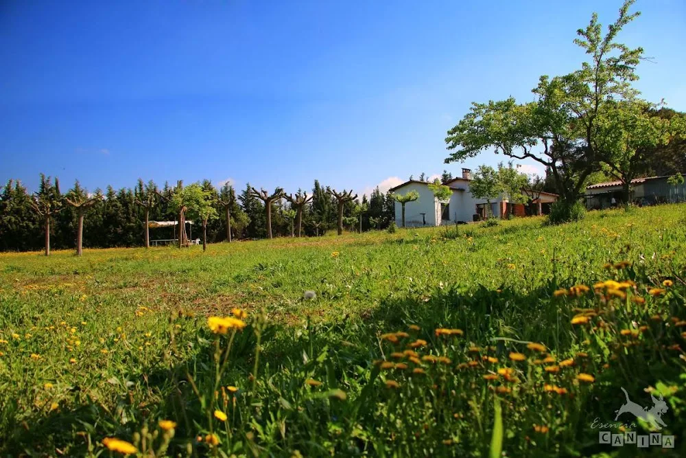 Esencia Canina - Catalonia pet otel görseli 2