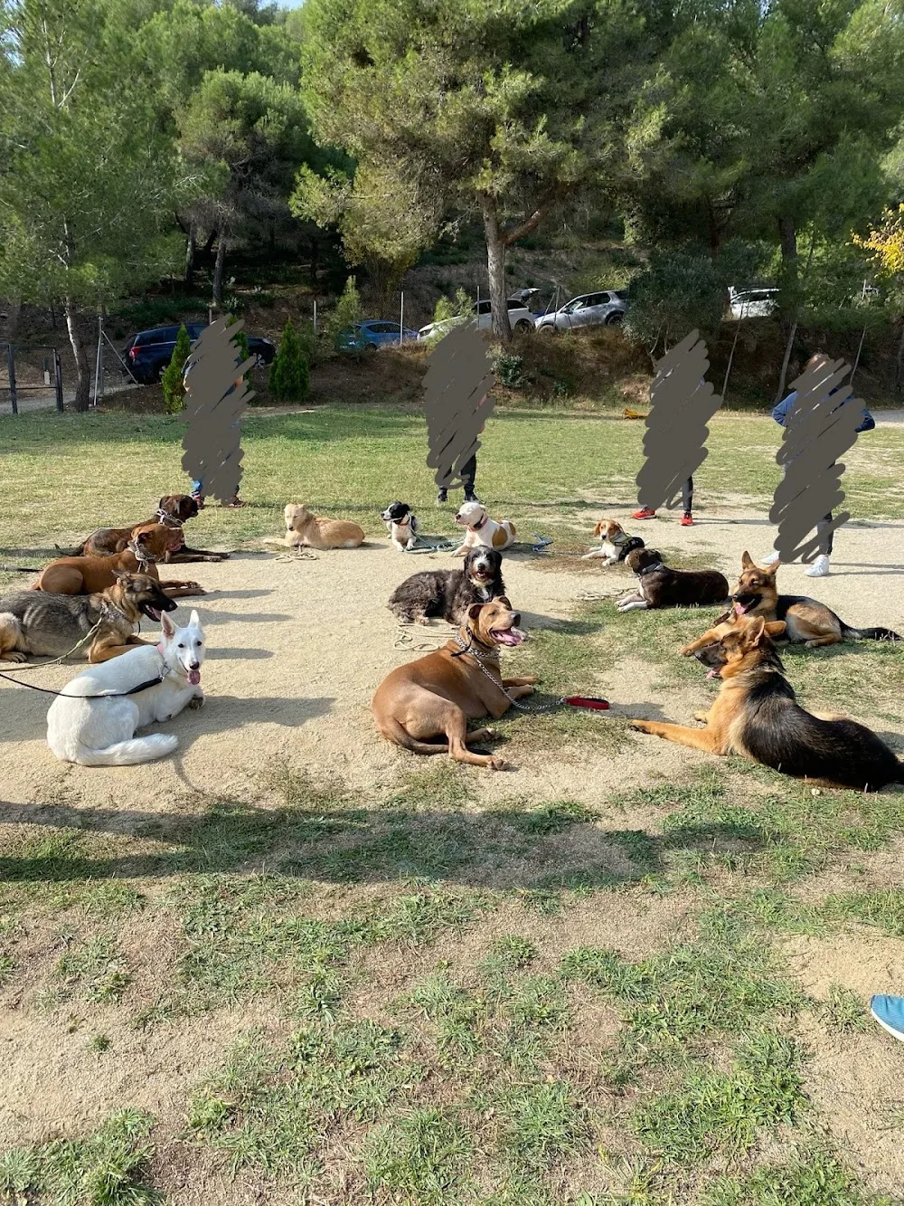 Font Galí Residéncia Canina - Catalonia pet otel görseli 3