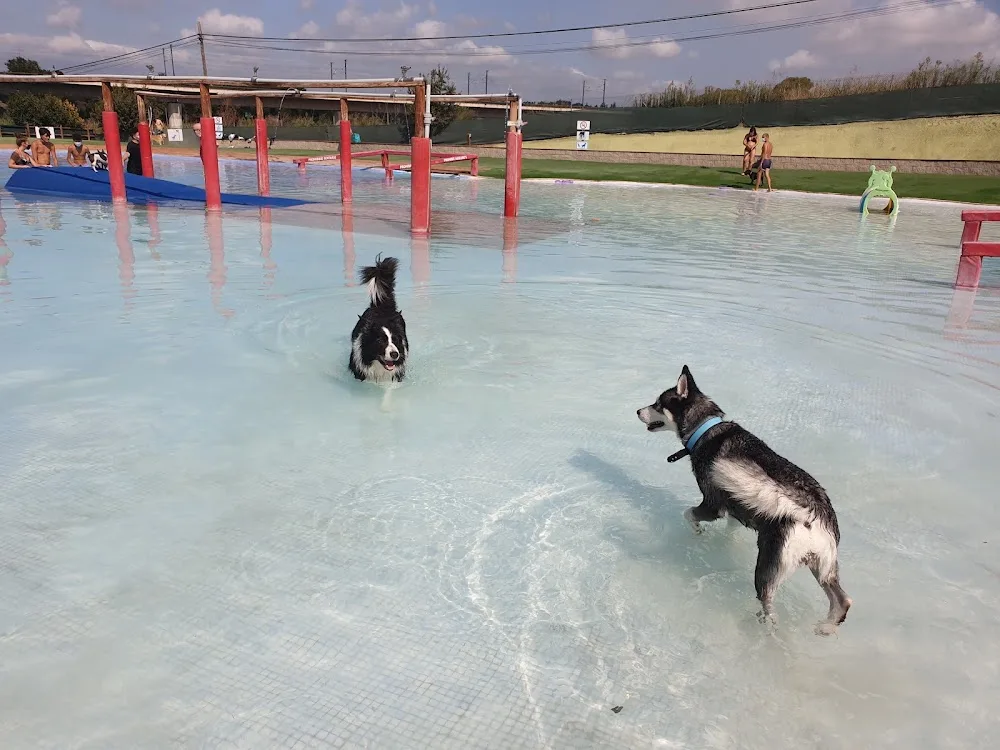 Hotel canino Can Jané - Catalonia pet otel görseli 3