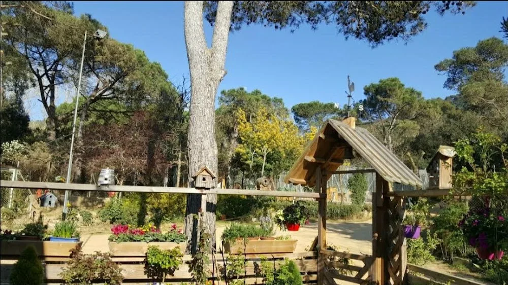Kynoikos residència canina - Catalonia pet otel görseli 2