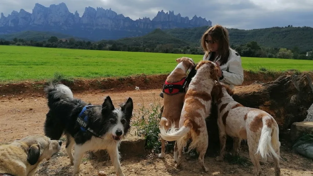 Les Oliveres Rural Can - Catalonia pet otel görseli 2