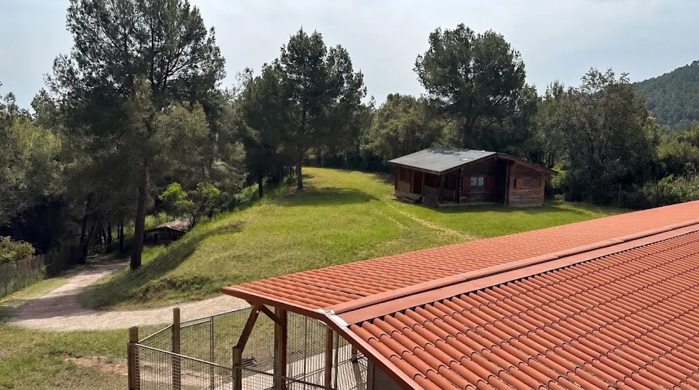 M.H.O.N CÃN - Catalonia pet otel görseli 2