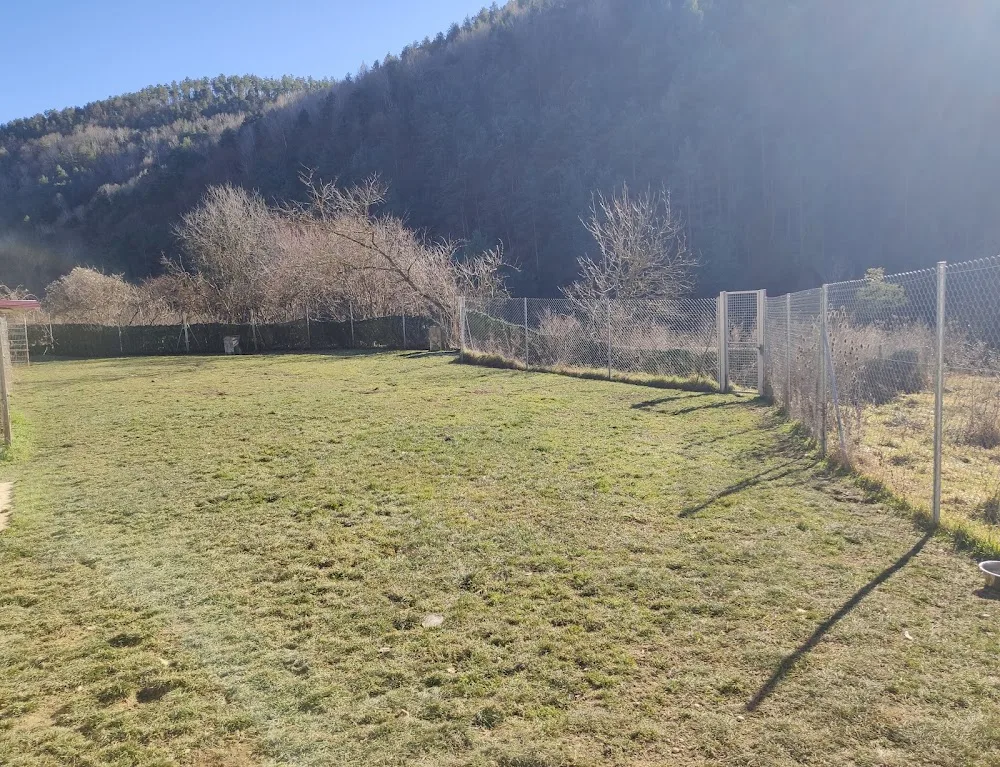 Radikaldogs: residència, cria i ensinistrament caní - Catalonia pet otel görseli 3
