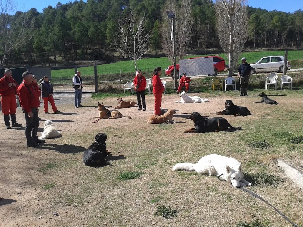 Residència canina Barcelona Els Tres Pins - Catalonia pet otel görseli 3
