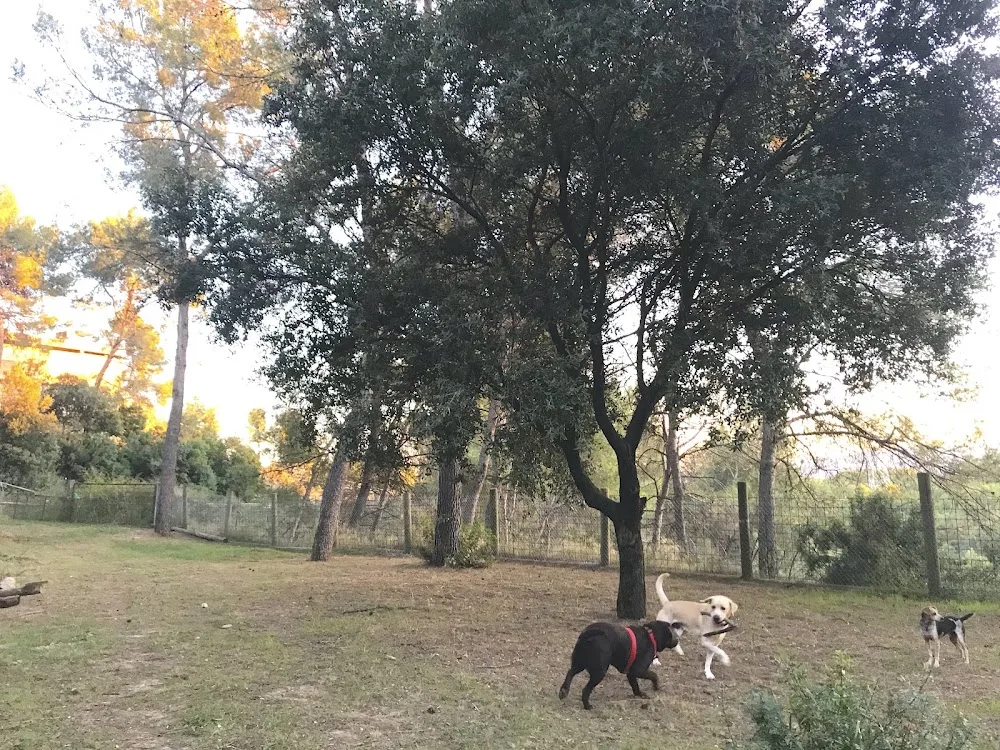 Residència canina Can Xavi - Catalonia pet otel