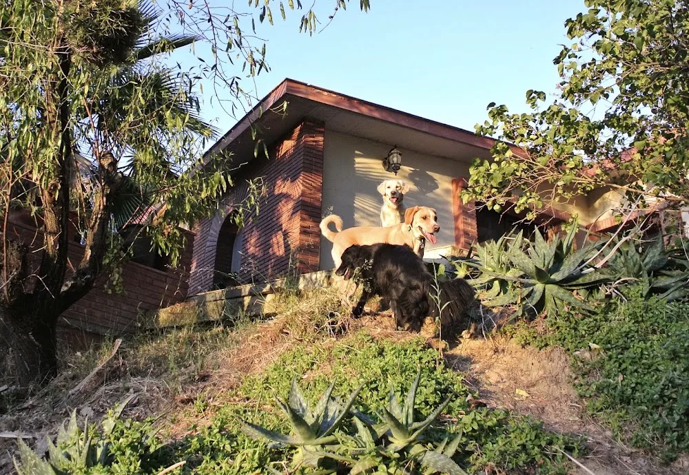 Residència canina Can Xavi - Catalonia pet otel görseli 3