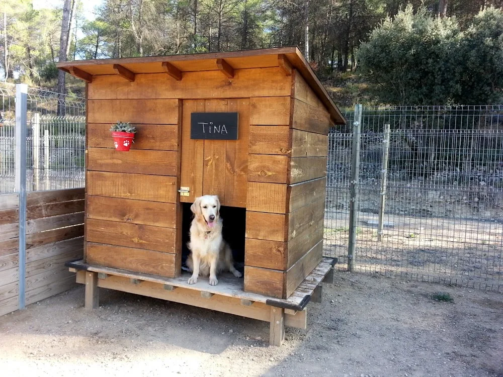 Residència canina Mas Mont-ros - Catalonia pet otel görseli 3