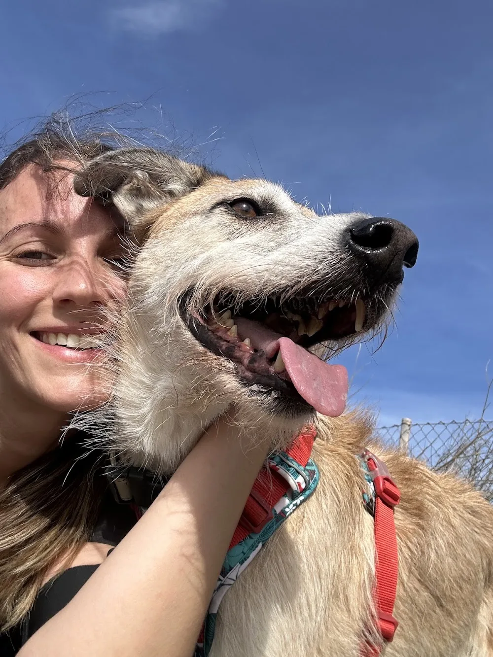 Residència Entre Pèls i Potes 🐾 - Catalonia pet otel görseli 3