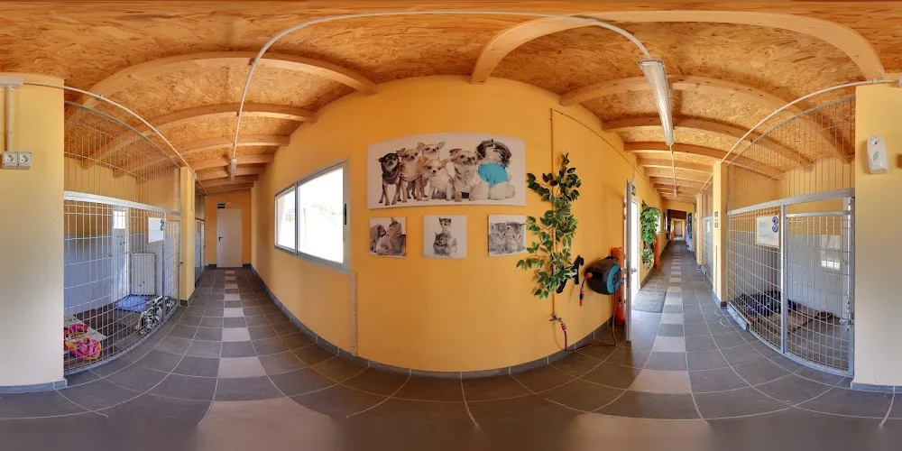 Sofia's Pet Hotel - Catalonia pet otel görseli 3