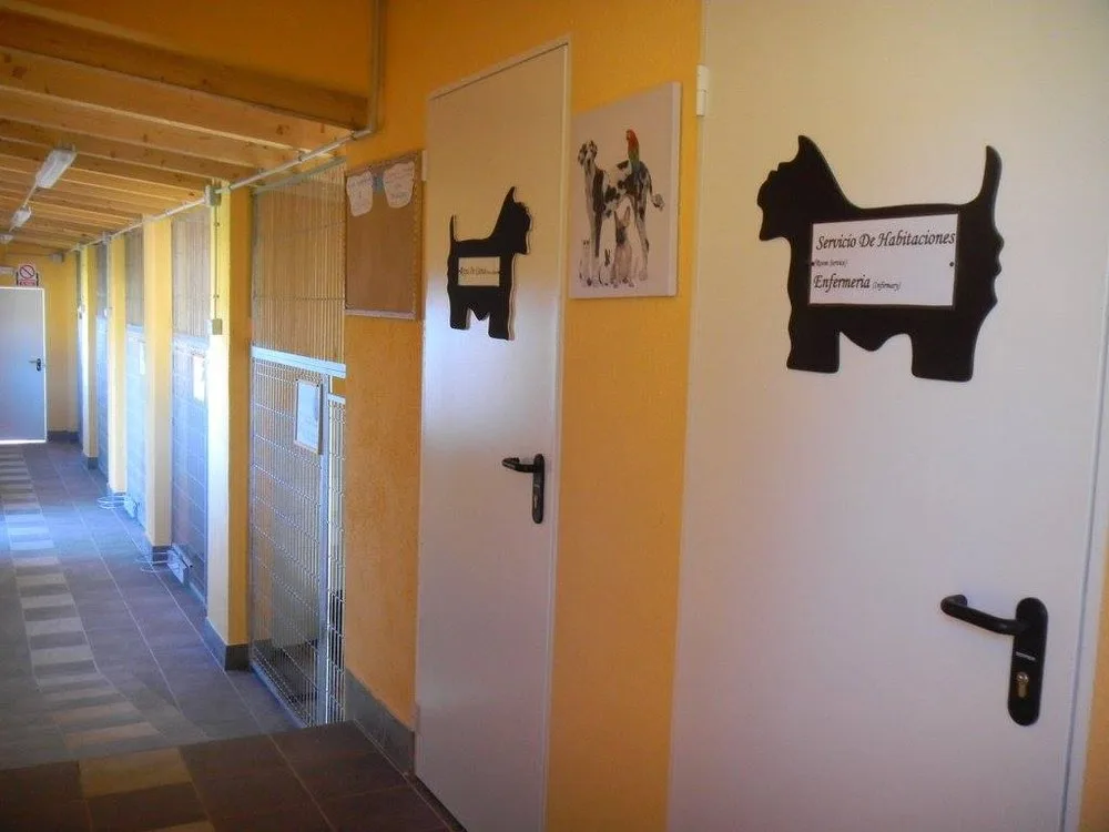 Sofia's Pet Hotel - Catalonia pet otel görseli 5