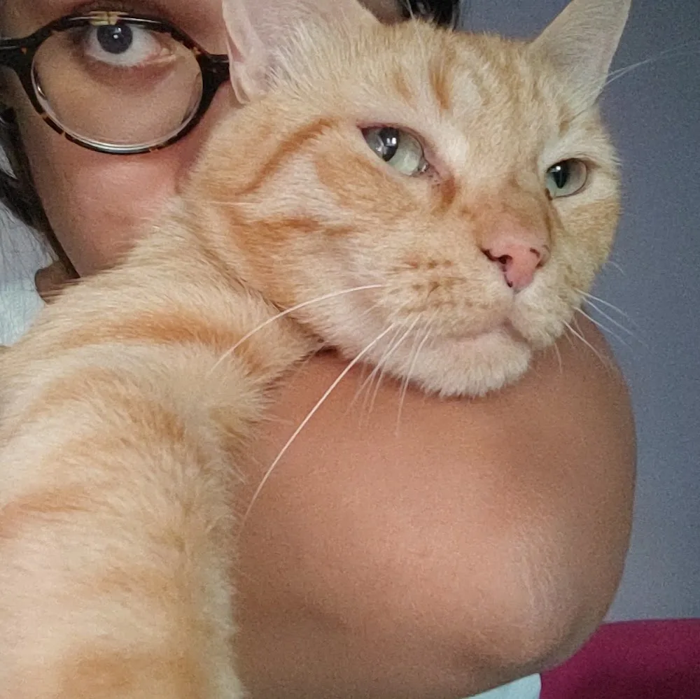 HoMePeTsInLoVe. - Catania pet otel görseli 4