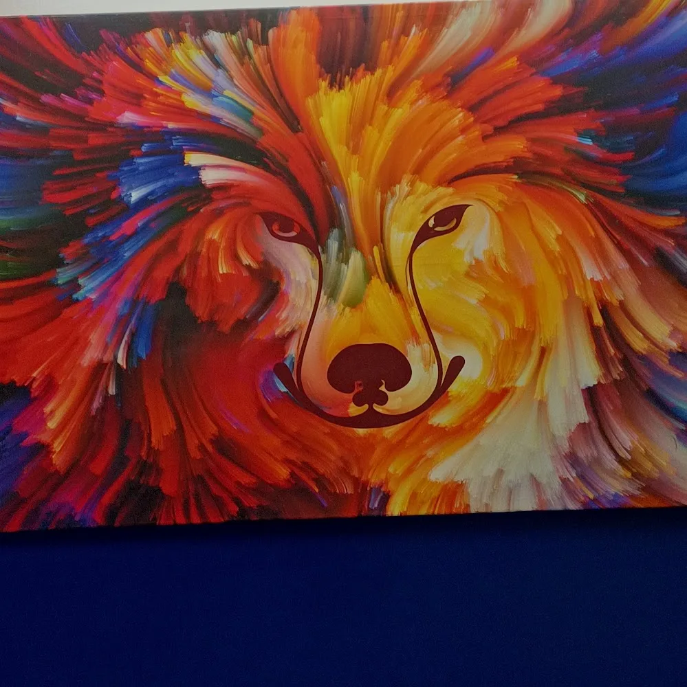 PENSIONE PER CANI - Catania pet otel görseli 5