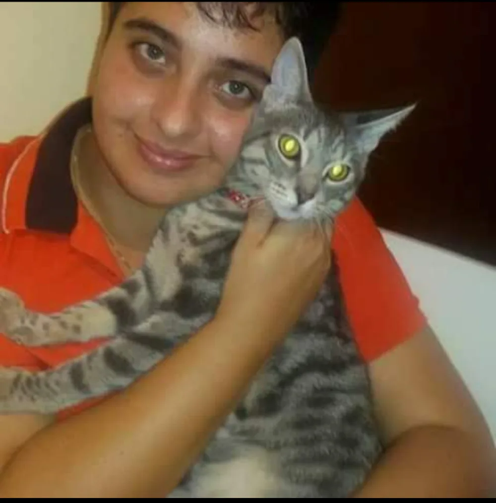 Pensione per gatti da Luana - Catania pet otel görseli 3