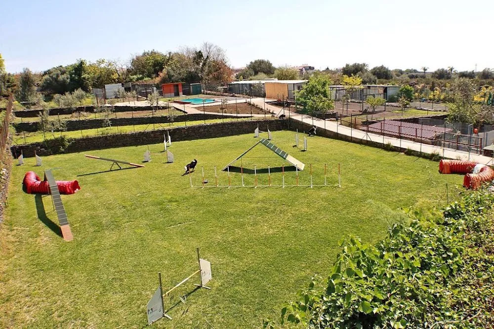 Pensione Purepassion - Catania pet otel görseli 3