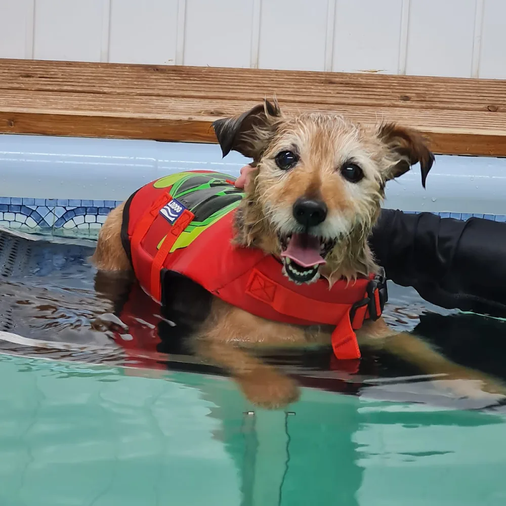 Garryduff Boarding Kennels Ballymoney - Causeway Coast and Glens pet otel görseli 3