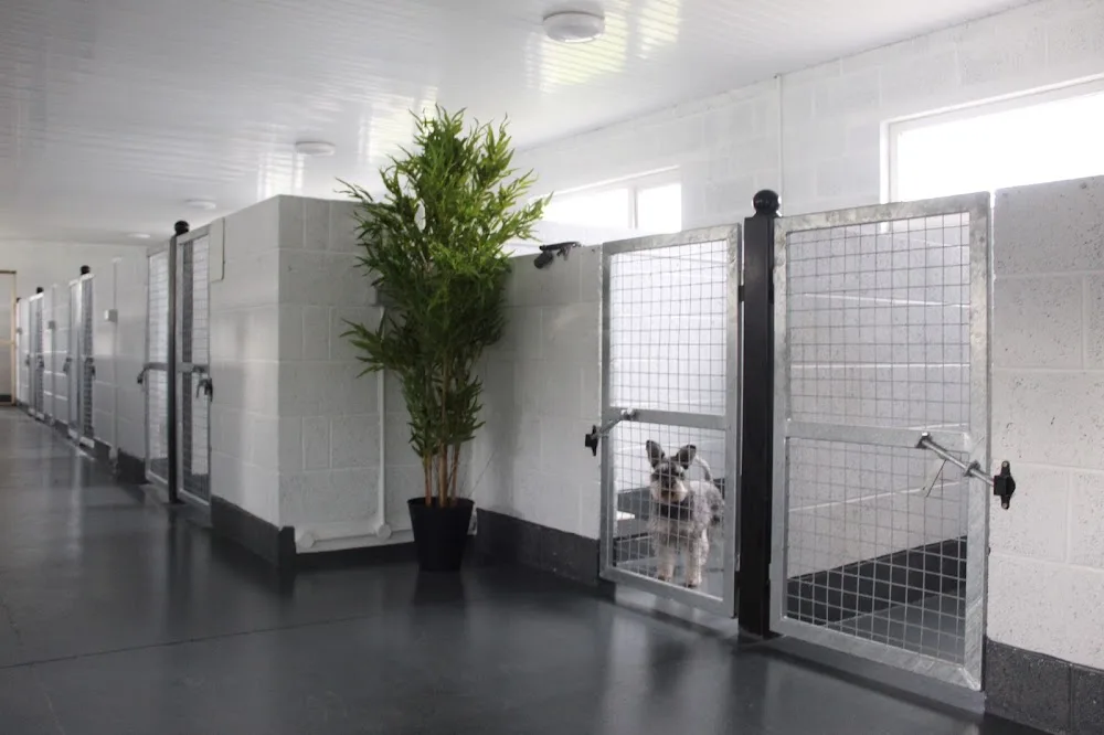 Brookview Boarding Kennels - Cavan pet otel görseli 3