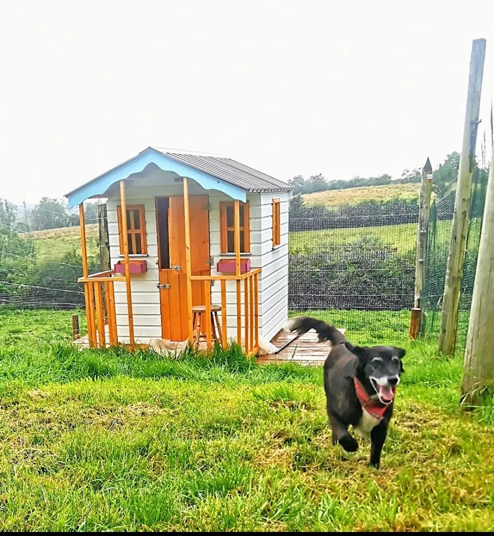 Cavan Dog Boarding Kennels - Cavan pet otel görseli 6