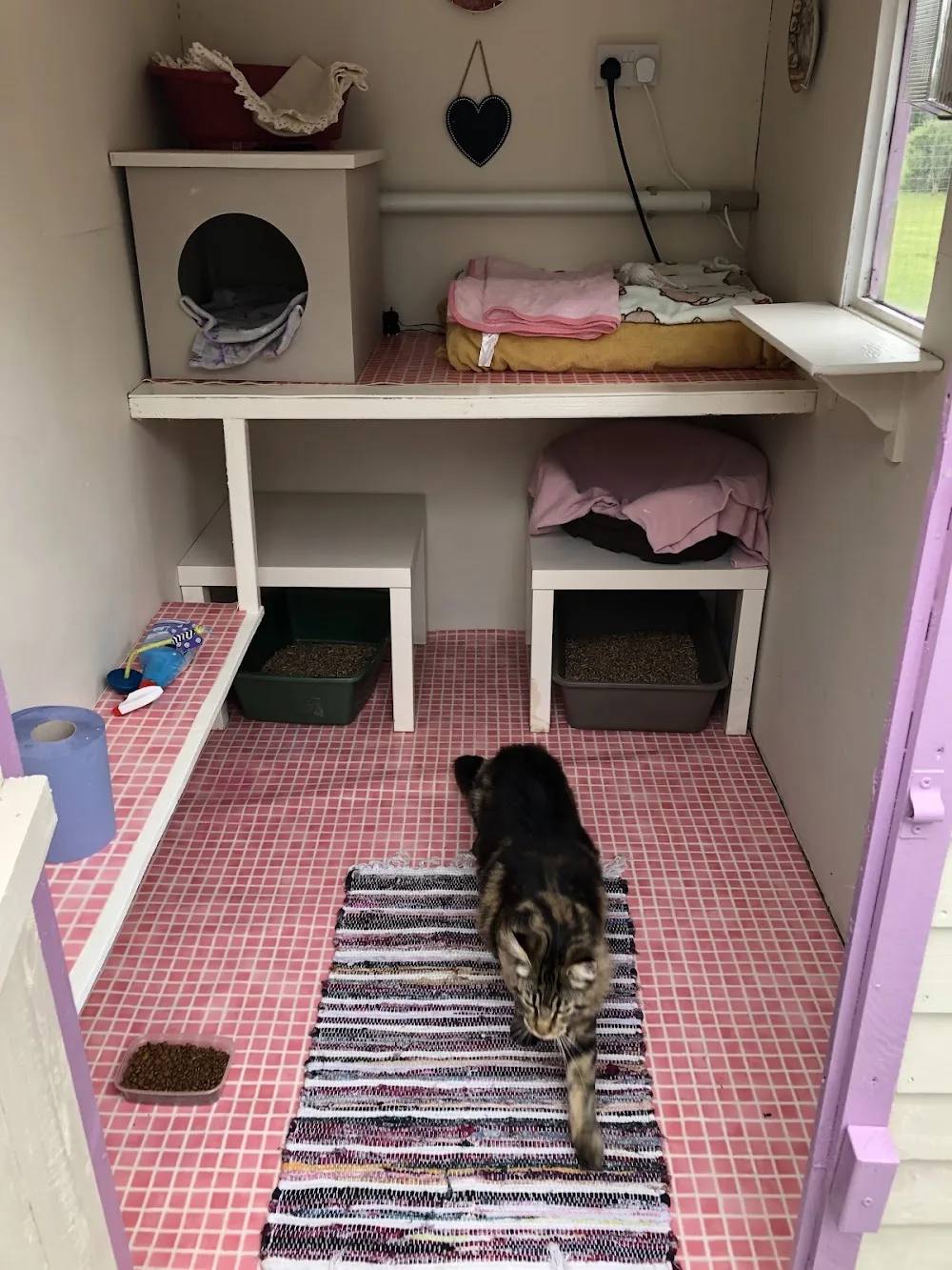 Kamasaki Boarding Cattery - Cavan pet otel görseli 6