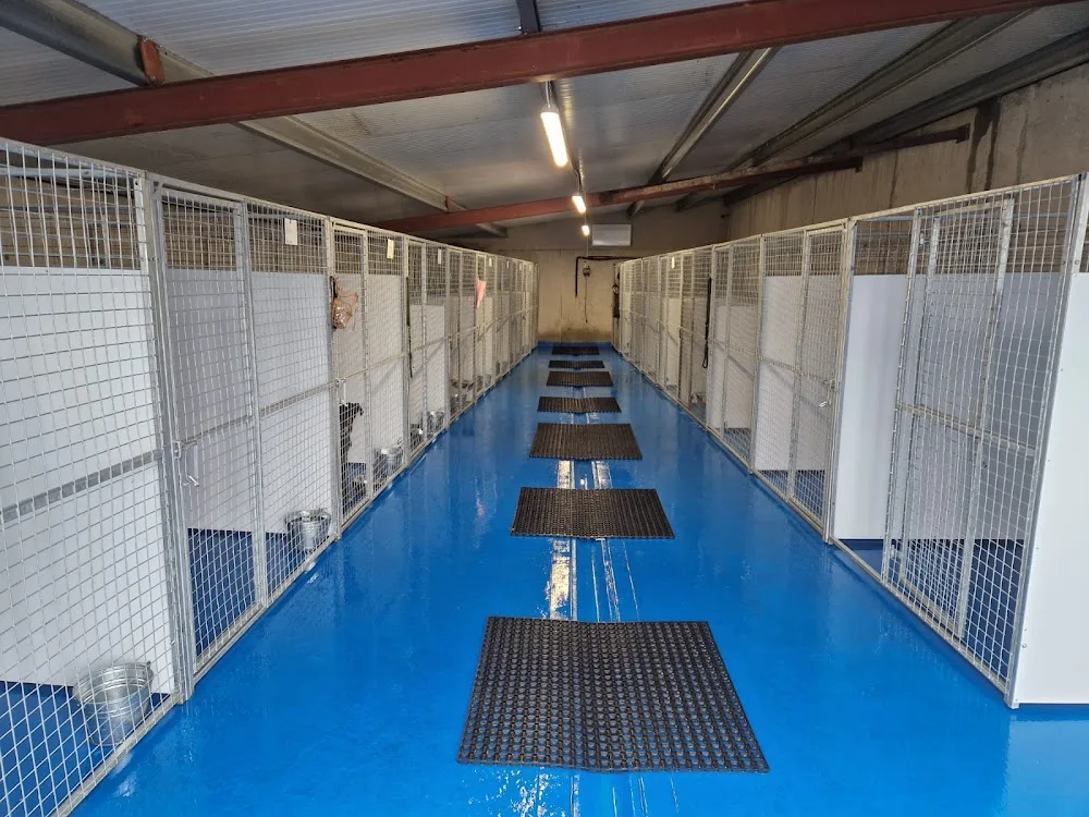 Lough Erne Boarding Kennels - Cavan pet otel