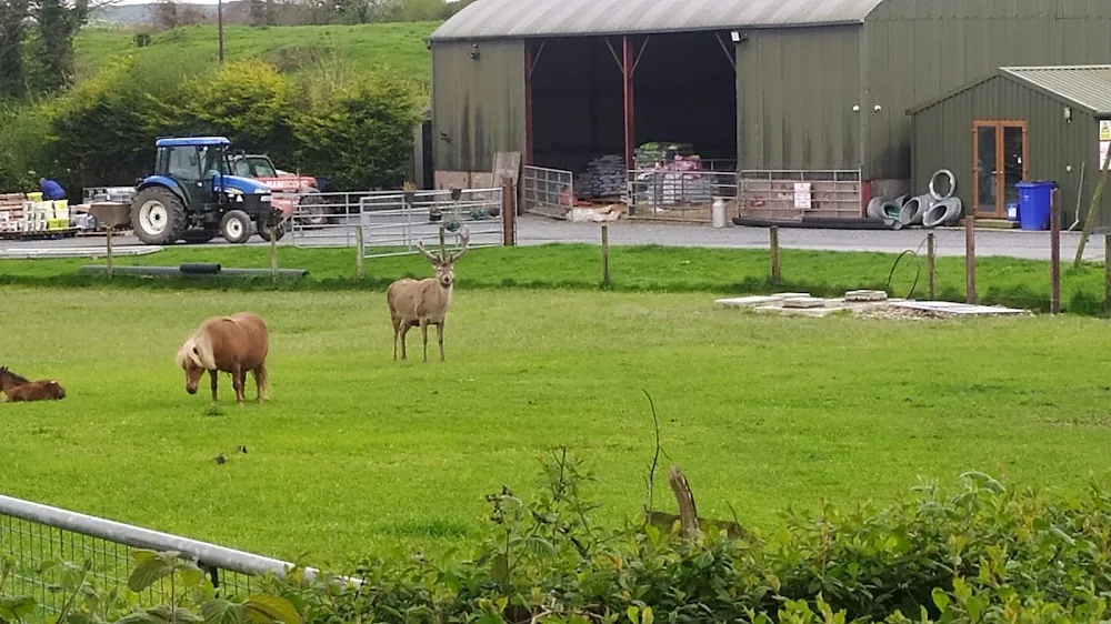 Precious Pets - Cavan pet otel