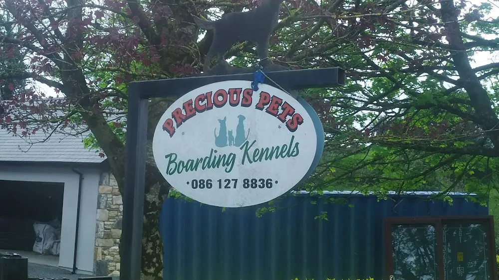 Precious Pets - Cavan pet otel görseli 3