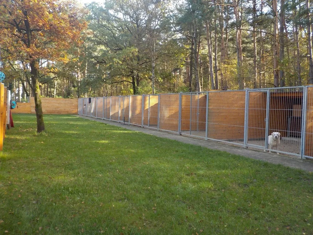 Tierpension Ehlershausen - Celle pet otel