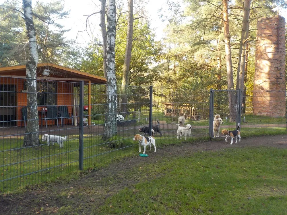 Tierpension Ehlershausen - Celle pet otel görseli 7