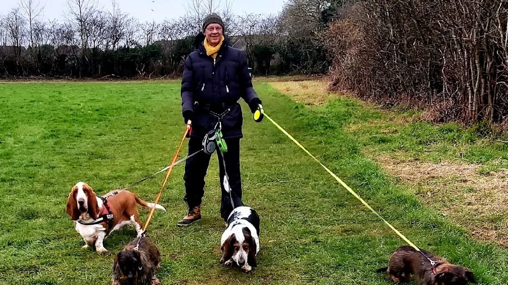 David's Dog Care - Central Bedfordshire pet otel görseli 2